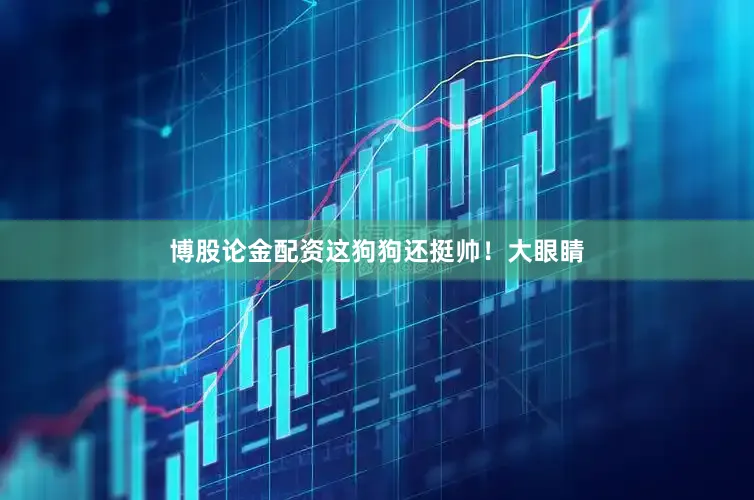 博股论金配资这狗狗还挺帅！大眼睛