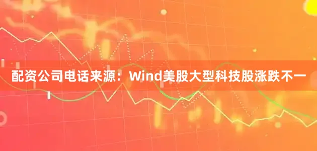 配资公司电话　　来源：Wind　　美股大型科技股涨跌不一