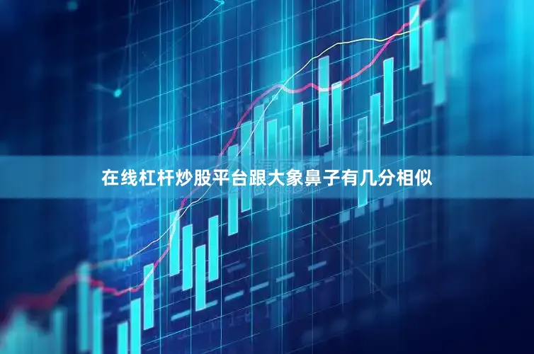 在线杠杆炒股平台跟大象鼻子有几分相似