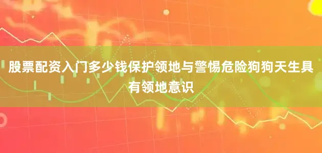 股票配资入门多少钱保护领地与警惕危险狗狗天生具有领地意识