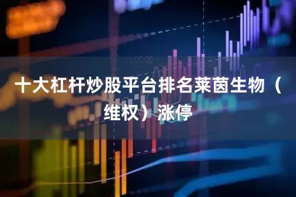 十大杠杆炒股平台排名莱茵生物（维权）涨停